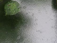 -长田漾湿地公园