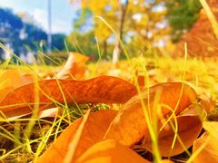 -锦月楼百姓厨房(大箕山商业广场店)