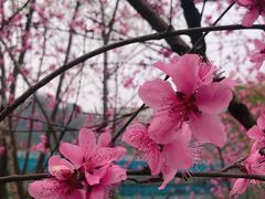 -重庆彩云湖湿地公园