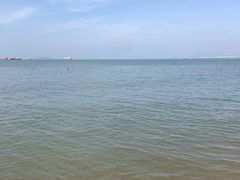 -九毛九西北菜(大东海店)