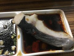 -鸭嘴鱼