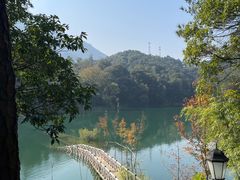 -广州市流溪河国家森林公园