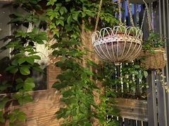 -留香花园(淮海街商业街店)