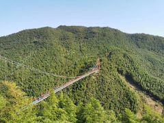 -宁波浙东大竹海景区
