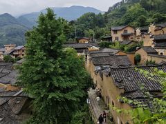 -杨家堂村