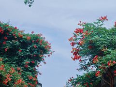 -老门东历史文化街区
