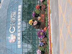 -花之城
