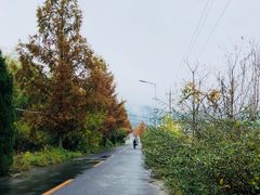 -塔川景区