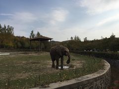 -哈尔滨北方森林动物园