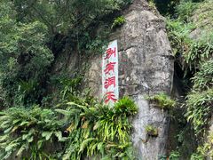 -深圳仙湖植物园