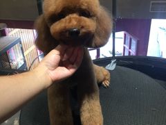 -MOLLY'S萌宠生活馆