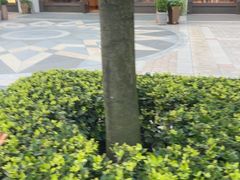 -比斯特上海购物村精品奥特莱斯