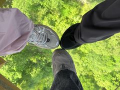 -少华山国家森林公园