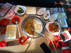 -季季红火锅(动壹店)