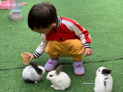 -萌宠亲子动物乐园(槐房万达店)