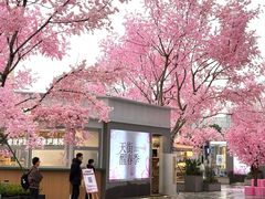 -首开·龙湖成都西宸天街
