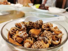 -老洋房花园饭店(绍兴路店)