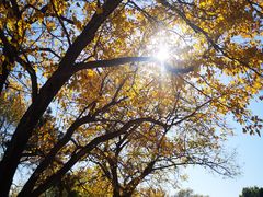 -北京西山国家森林公园