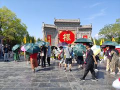 -大槐树寻根祭祖园