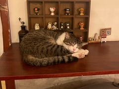 -树洞咖啡(科大店)