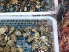 -和源祥·日照菜扛把子(万平口一店)