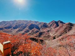 -水峪民俗村