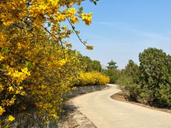 -北京西山国家森林公园