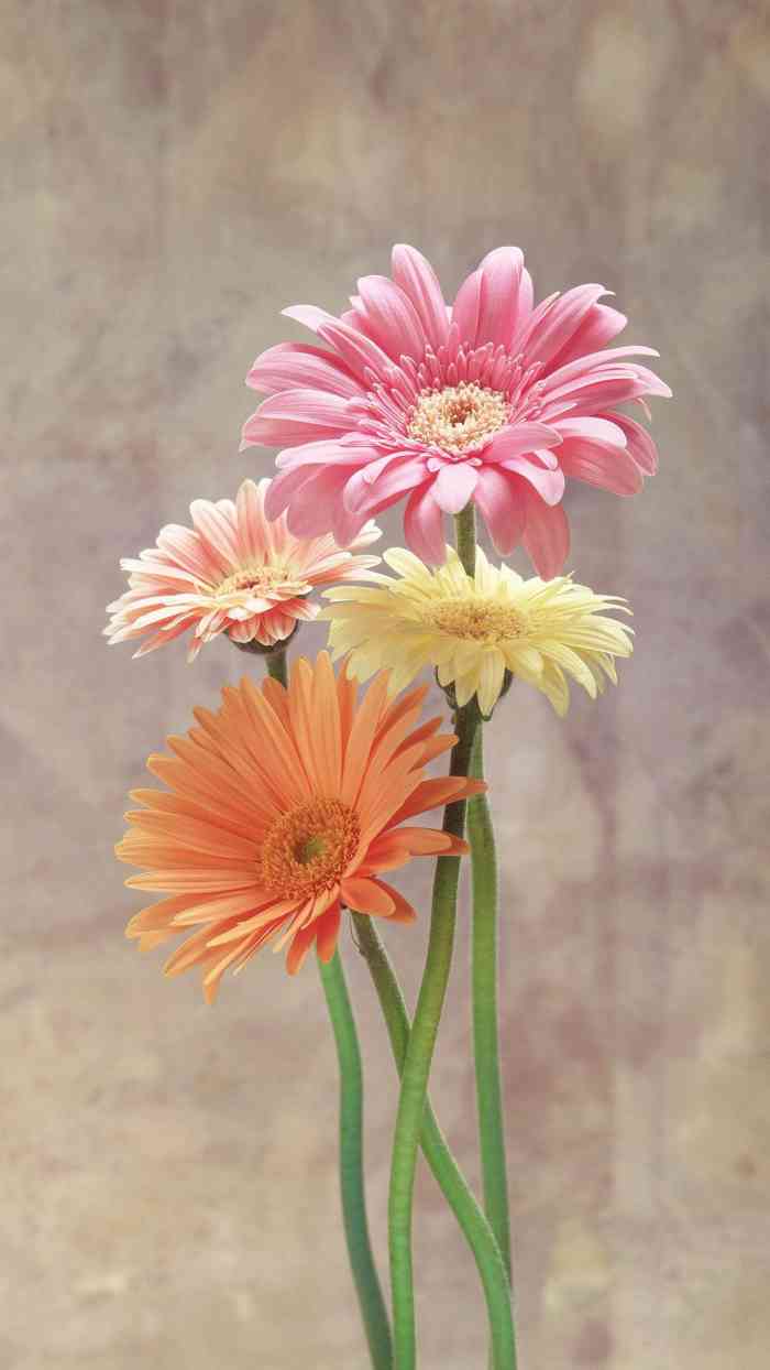 王老四臭豆腐保全街店-"老两口开的小店.老两口人很好,春节期间也.