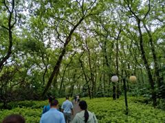 -冶父山国家森林公园
