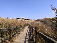 -白草畔自然风景区