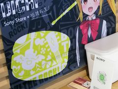 -Sony Store 索尼(上海淮海中路店)