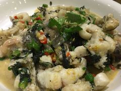 鮰鱼-石头咕(葵蓬店)