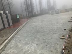 -广州市石门国家森林公园