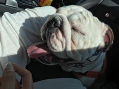 -硗碛藏寨·神木垒景区