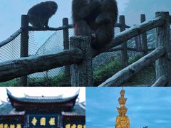 -峨眉山风景名胜区