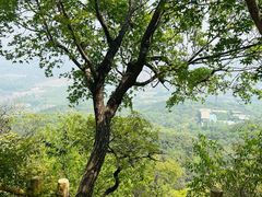 -北京西山国家森林公园