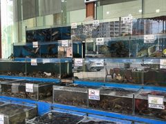 -秋姐美食店(旅游大道店)