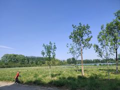 -翠湖国家城市湿地公园