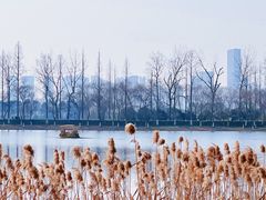 -洋湖国家湿地公园