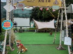 -CAMP.33露营烤肉·团建聚餐(创智天地店)