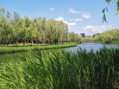 -中关村生命科学园