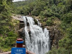 -海南热带雨林国家公园吊罗山景区