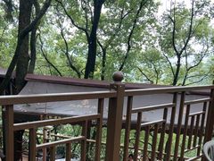 -巴倒烫陆派火锅山庄(南山总店)
