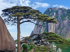 -黄山风景区