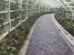 -紫荆广场·花漫里