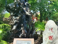 -大槐树寻根祭祖园