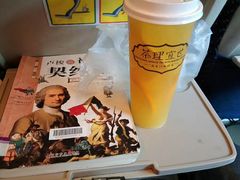 -茶理宜世(东方宝泰店)