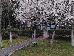 -西安汉城湖景区