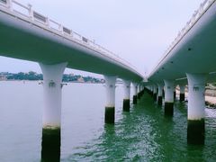 -演武大桥观景平台