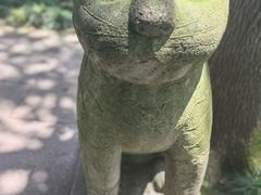 -天一阁博物院